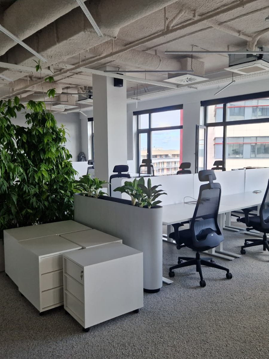 Blog 5 Jauno ofisu iekartosana edited